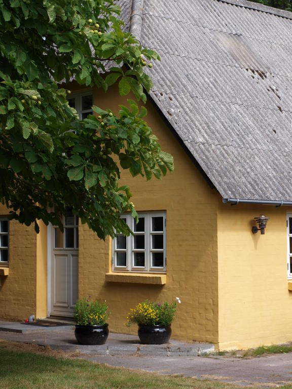 Faedrelandet Ferielejlighed & Turridning Laeso 客房 照片